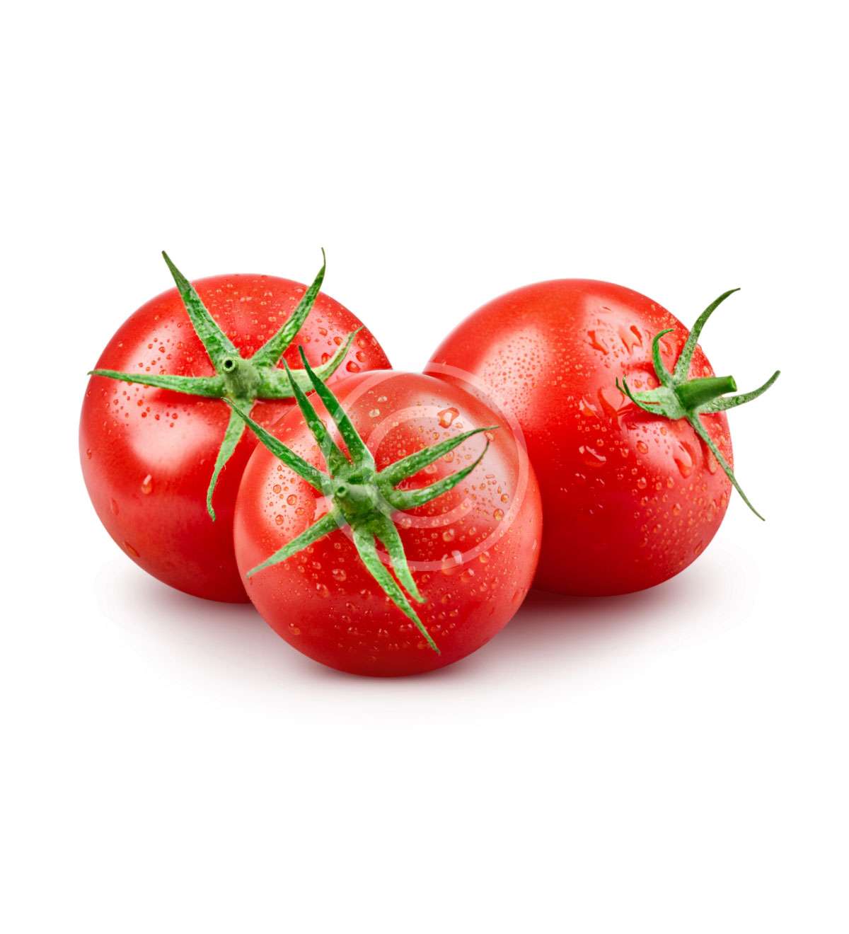 product-image1-copyright